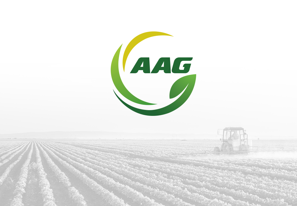 Thiết kế logo công ty AAG tại Hà Nội